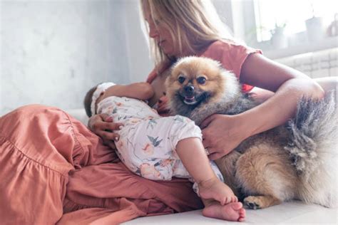 woman sucking dog